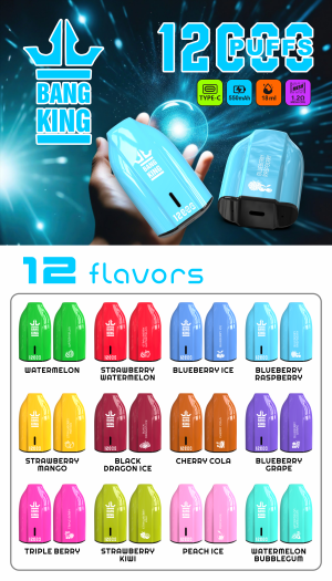 Bang King 12000 Porsche Puffs Rechargeable Disposable Vape