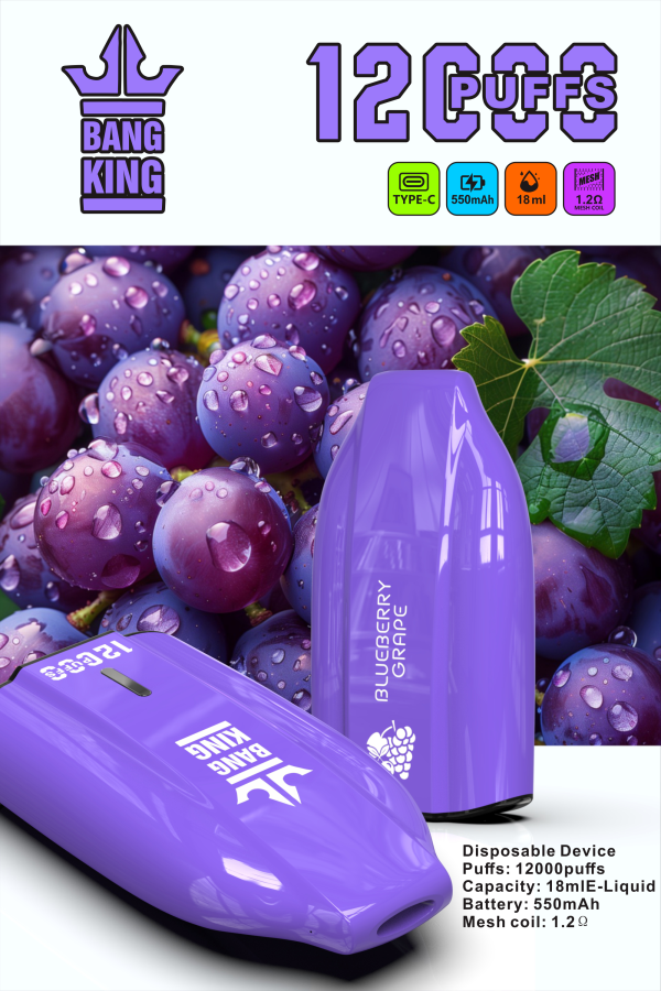 Bang King 12000 Porsche Puffs Rechargeable Disposable Vape