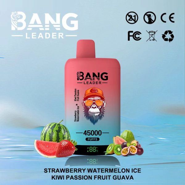 Bang Leader 45000