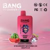 Bang Leader 45000