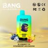 Bang Leader 45000