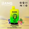 Bang Leader 45000