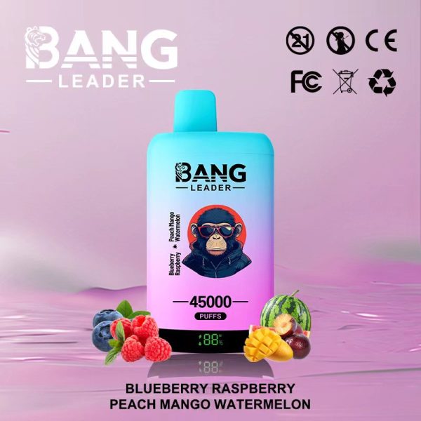 Bang Leader 45000