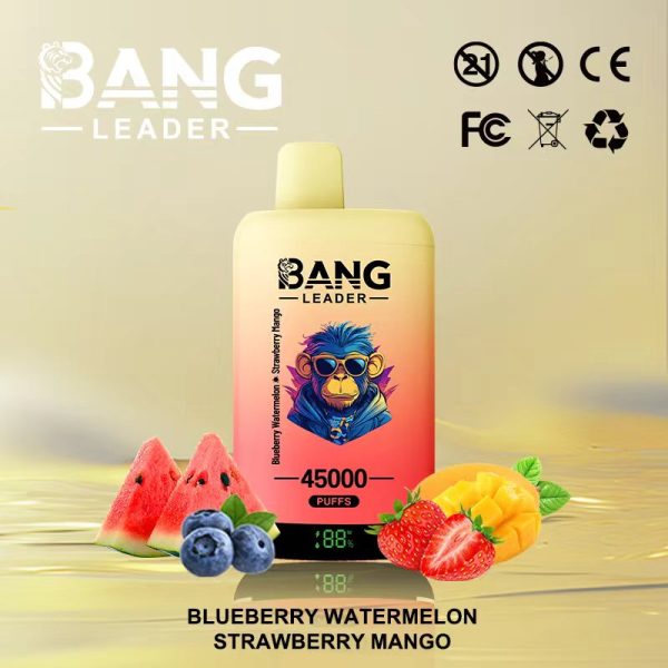 Bang Leader 45000