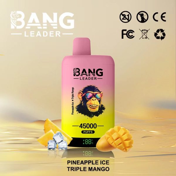 Bang Leader 45000