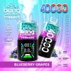 bang Tonardo 40000 Large screen lung suction